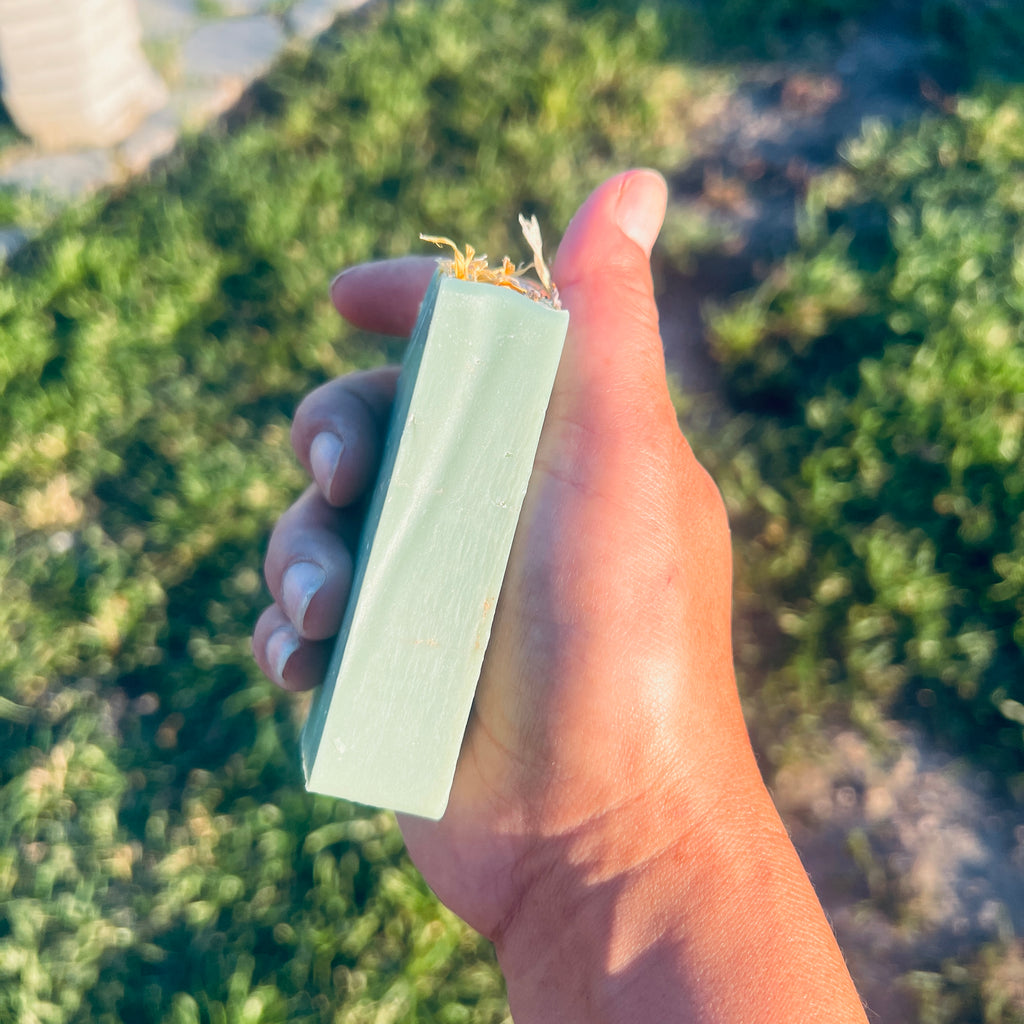 Wild Dandelion Cove Body & Face Soap