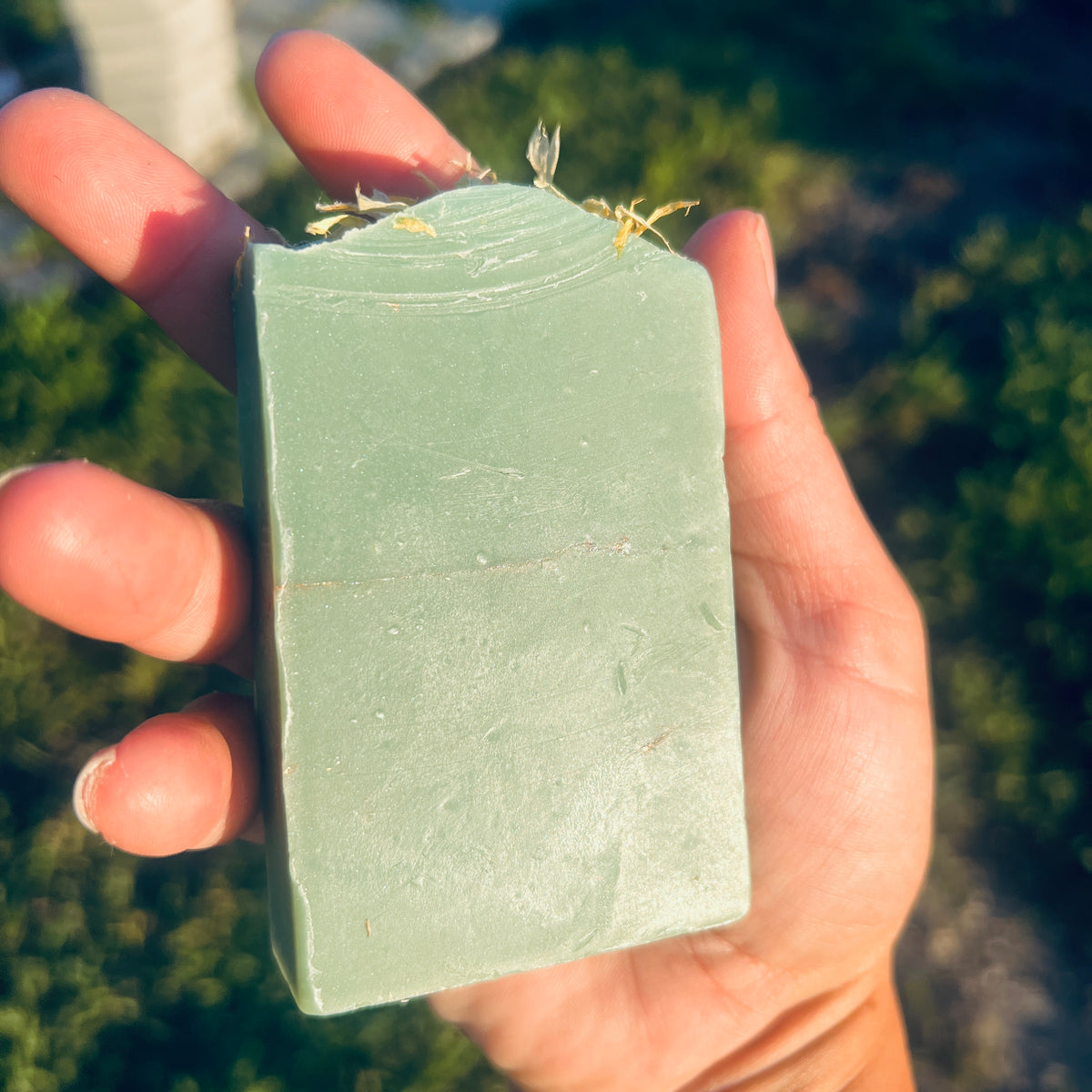 Wild Dandelion Cove Body & Face Soap