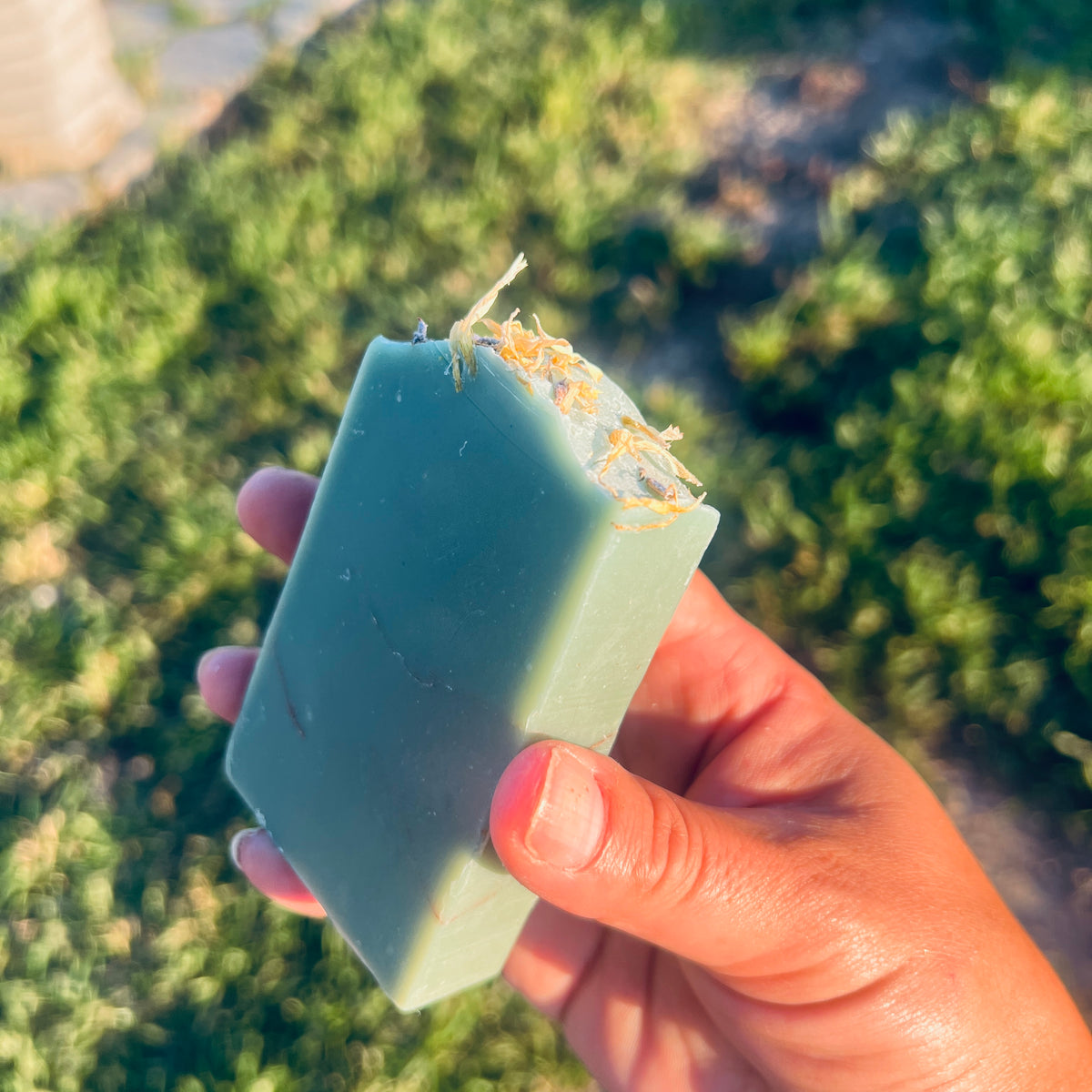 Wild Dandelion Cove Body & Face Soap