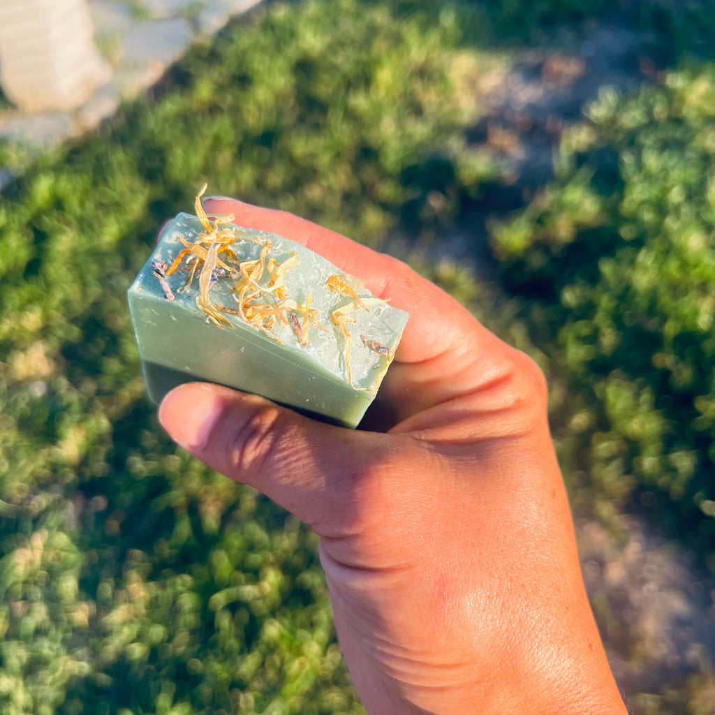 Wild Dandelion Cove Body & Face Soap