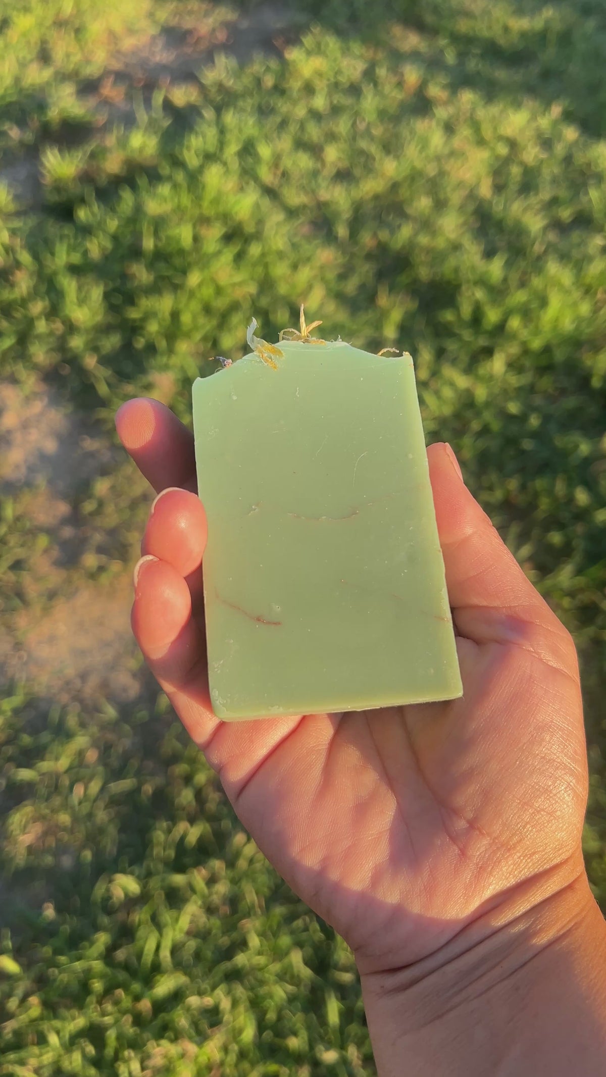 Wild Dandelion Cove Body & Face Soap